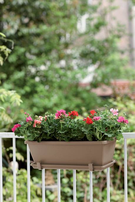 barcelona balkonkasten 40cm taupe